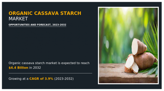 Organic Cassava Starch Market - IMG1