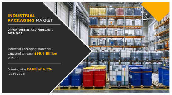 Industrial Packaging Market - IMG1