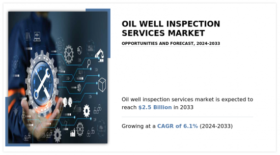 Oil Well Inspection Services Market - IMG1