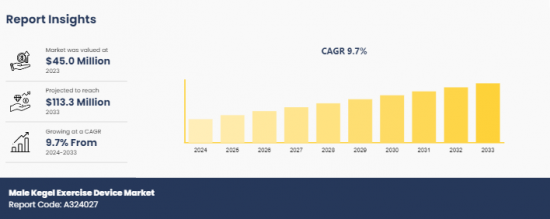 Male Kegel Exercise Device Market - IMG1