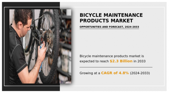 Bicycle Maintenance Products Market - IMG1