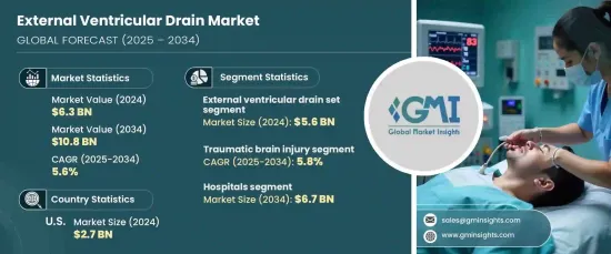 External Ventricular Drain Market - IMG1