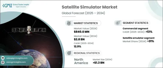 Satellite Simulator Market - IMG1