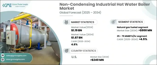 Non-Condensing Industrial Hot Water Boiler Market - IMG1