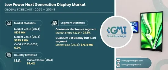 Low Power Next Generation Display Market - IMG1