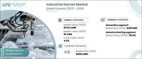 Industrial Garnet Market - IMG1