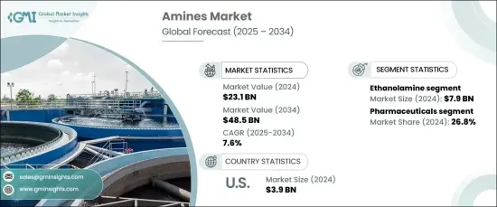 Amines Market - IMG1