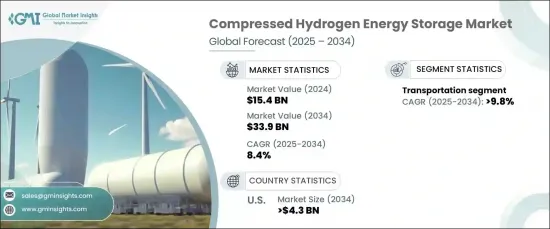 Compressed Hydrogen Energy Storage Market - IMG1