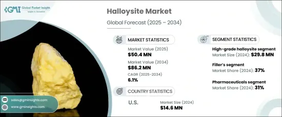 Halloysite Market - IMG1