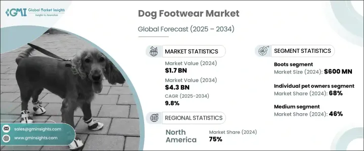Dog Footwear Market - IMG1