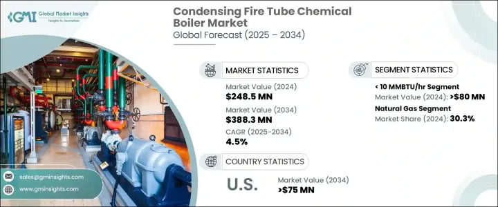 Condensing Fire Tube Chemical Boiler Market - IMG1