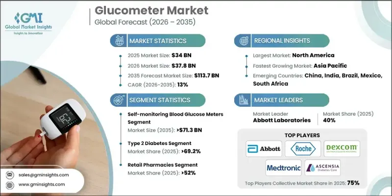 Glucometer Market - IMG1