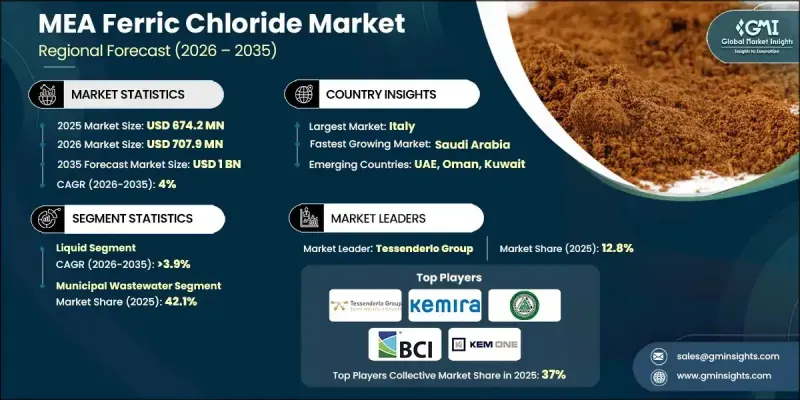 MEA Ferric Chloride Market - IMG1