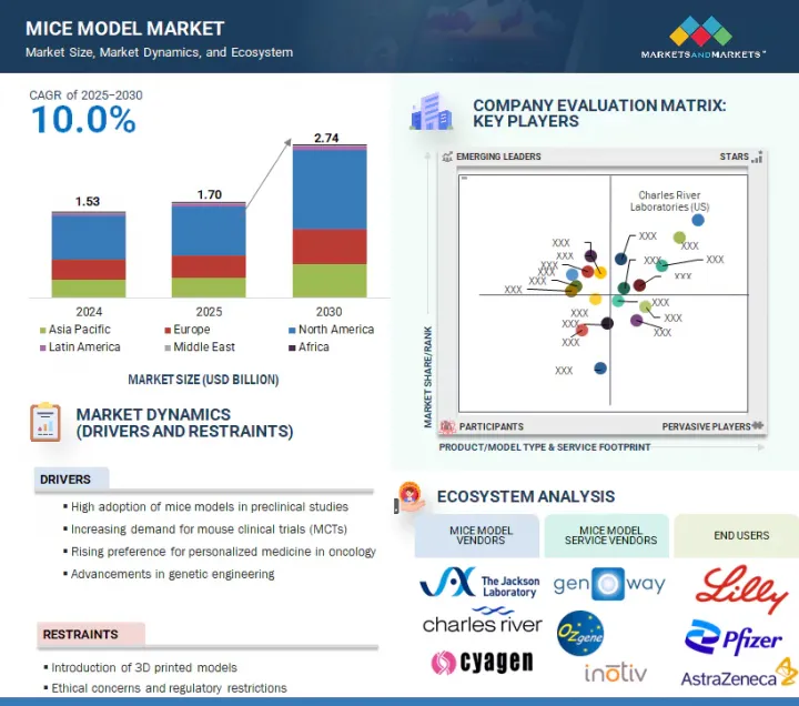 Mice Model Market - IMG1