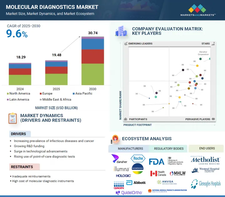 Molecular Diagnostics Market - IMG1