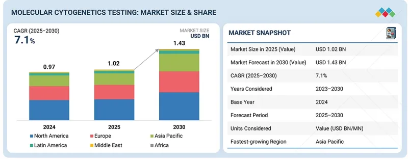 Molecular Cytogenetics Market - IMG1