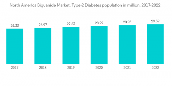 North America Biguanide Market - IMG1