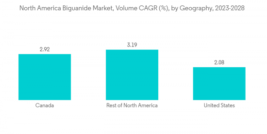 North America Biguanide Market - IMG2