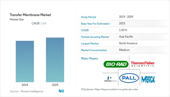 Transfer Membrane - Market - IMG1