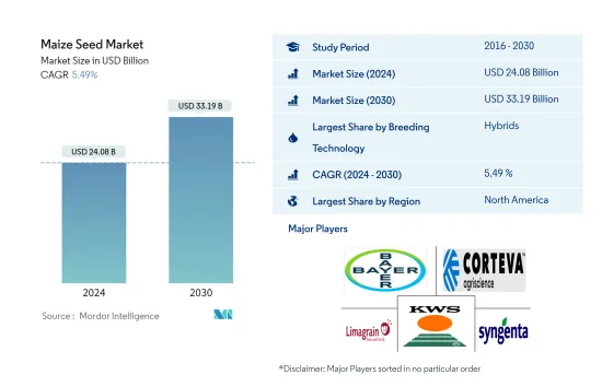 Maize Seed - Market