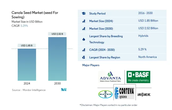 Canola Seed  (seed For Sowing) - Market