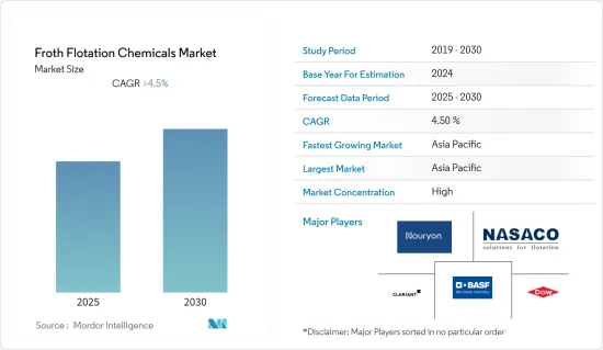Froth Flotation Chemicals - Market - IMG1