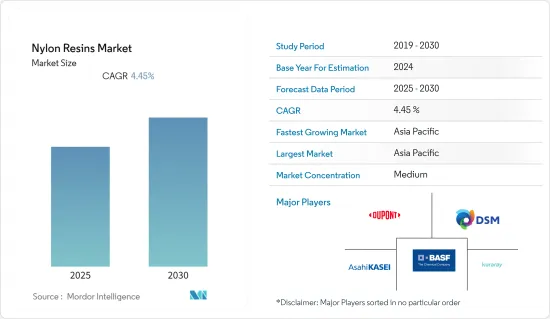 Nylon Resins - Market - IMG1