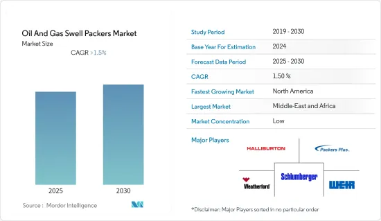 Oil And Gas Swell Packers - Market - IMG1