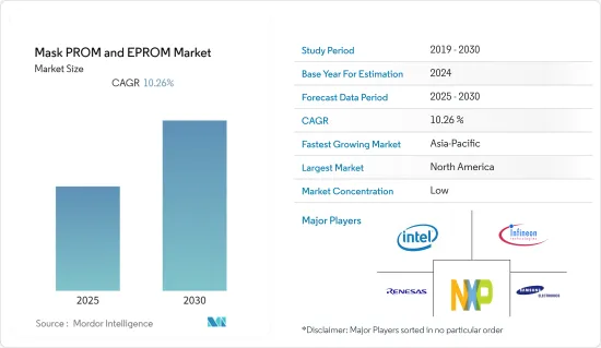 Mask PROM and EPROM - Market - IMG1