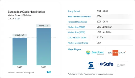 Europe Ice/Cooler Box - Market - IMG1