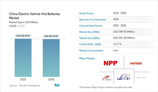 China Electric Vehicle Vrla Batteries - Market - IMG1