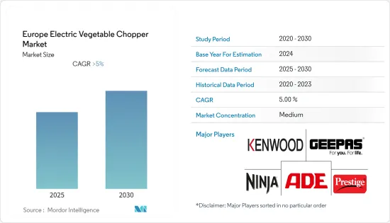 Europe Electric Vegetable Chopper - Market - IMG1