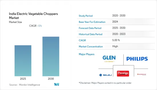 India Electric Vegetable Choppers - Market - IMG1