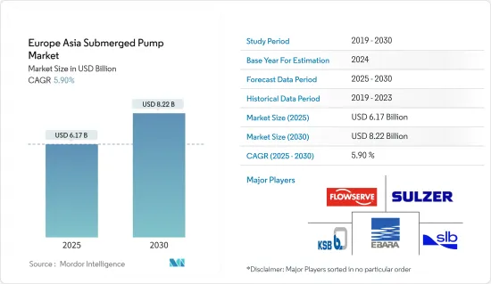 Europe Asia Submerged Pump - Market - IMG1