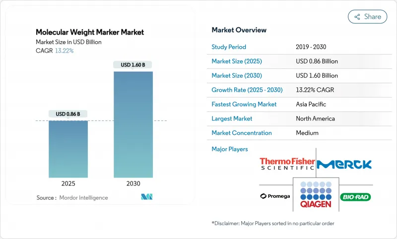 Molecular Weight Marker - Market - IMG1