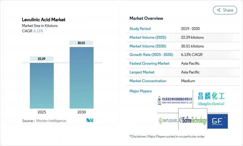 Levulinic Acid - Market - IMG1