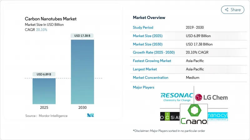 Carbon Nanotubes - Market - IMG1