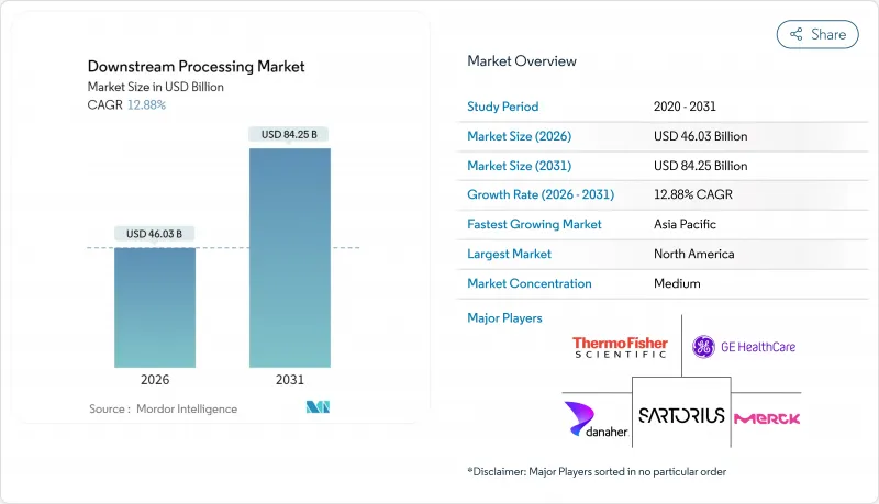 Downstream Processing - Market - IMG1