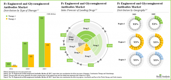 Fc and Glycoengineered Antibodies Market - IMG3