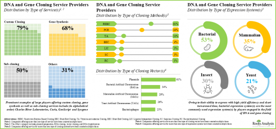 DNA and Gene Cloning Services Market - IMG2