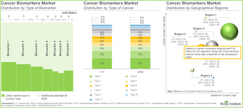 Cancer Biomarkers Market - IMG3