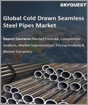 Seamless Stainless Steel Pipes Market, Global Outlook and Forecast