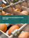 Global egg processing equipment market 2024-2028