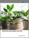 Global Indoor Plants Market 2025-2029